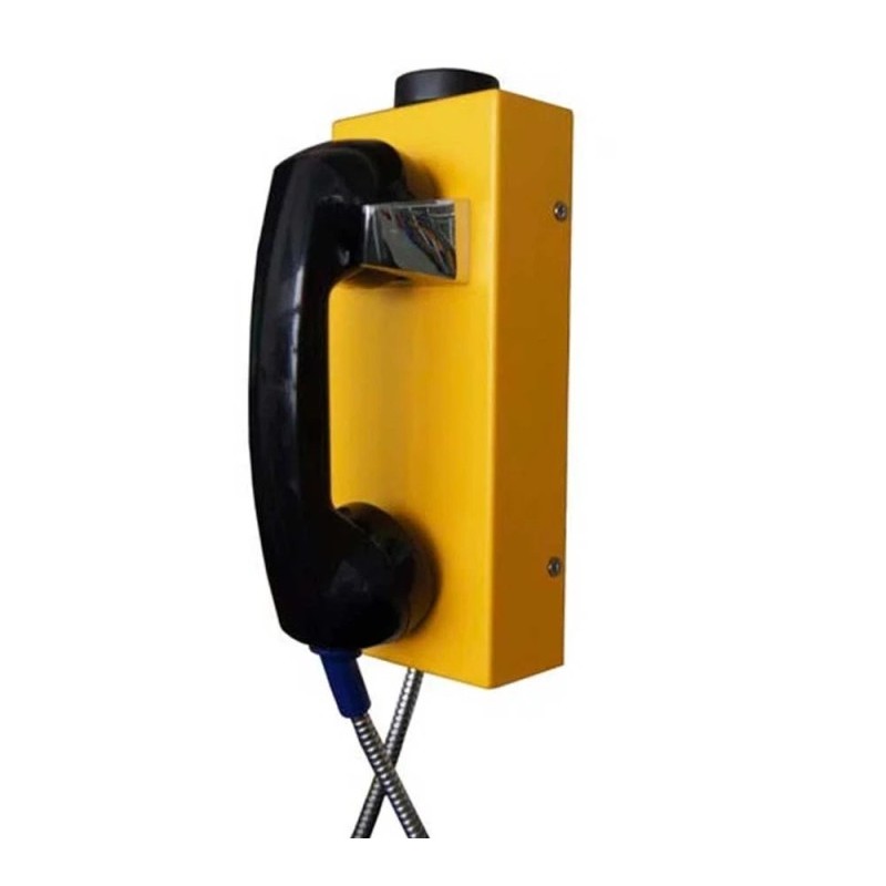 Téléphone d'urgence industriel Celica A2S Voice boîtier acier sans clavier