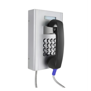 Téléphone antivandalisme série SLENG